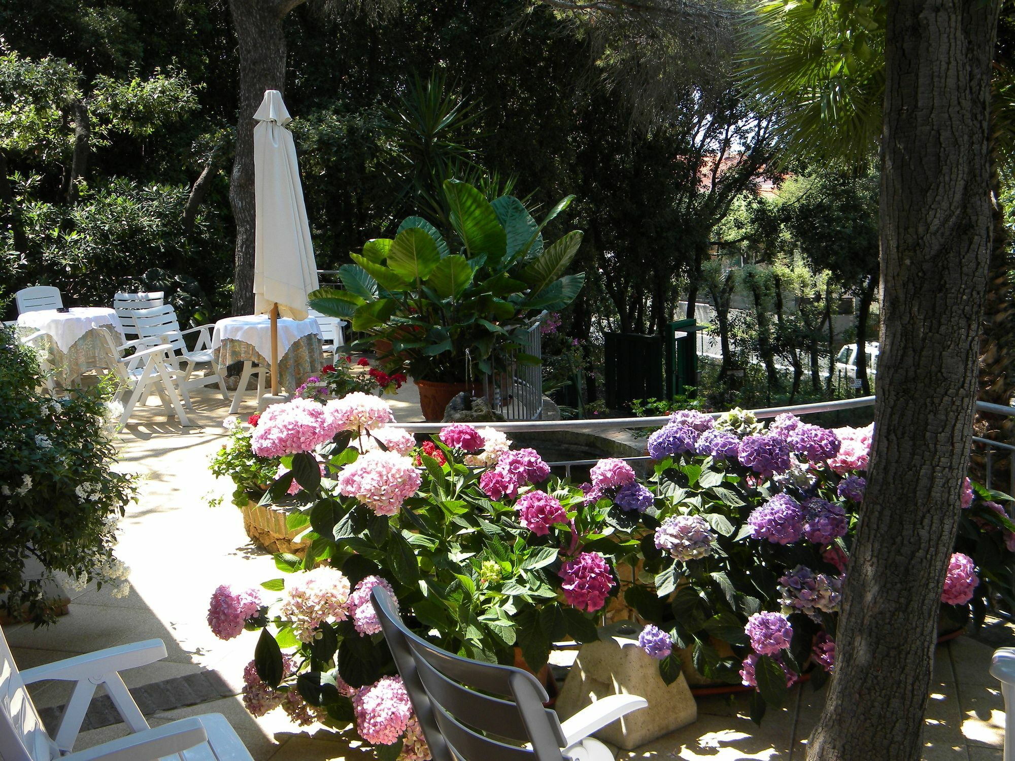 Hotel La Rosa Del Tirreno Livorno Exteriör bild